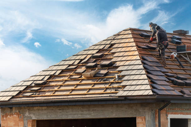 Best Roof Insulation Installation  in Sunrise Manor, NV